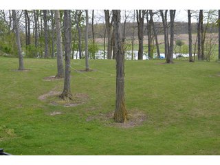 Property photo 31 - Real Estate & Personal Property Auction, Country Home, Building Sites, Pond